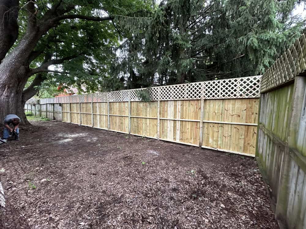 replaced section of wooden fence