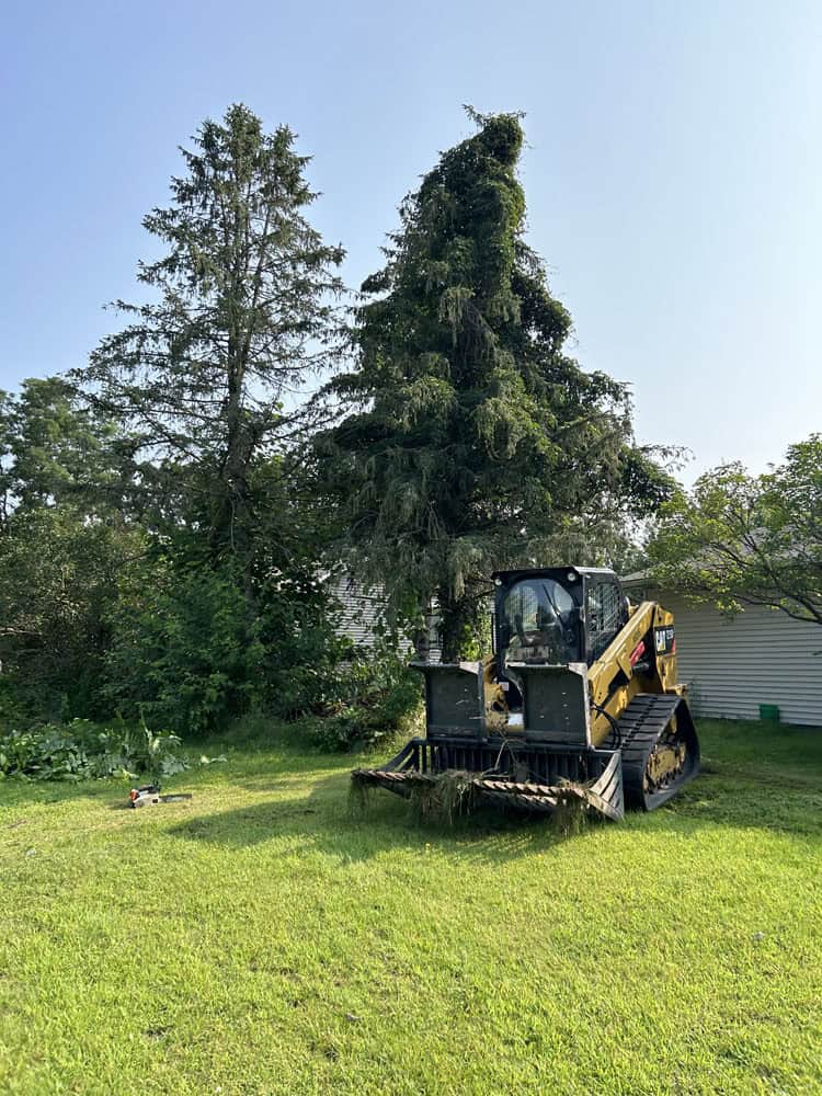 Skid Steer Loader sitting in a grass yard