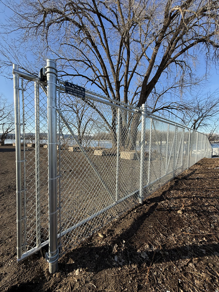 A tall chain-link metal fence with a closed double gate stands on bare soil, stretching toward a large leafless tree under a clear blue sky.