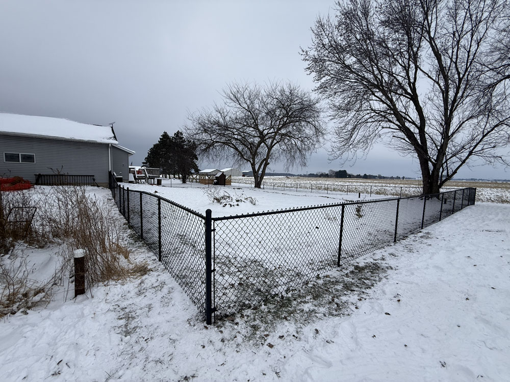 A snow-covered yard enclosed by a black chain-link fence sits next to a gray house. Leafless trees stand in the yard, and open fields extend into the distance under a cloudy sky.