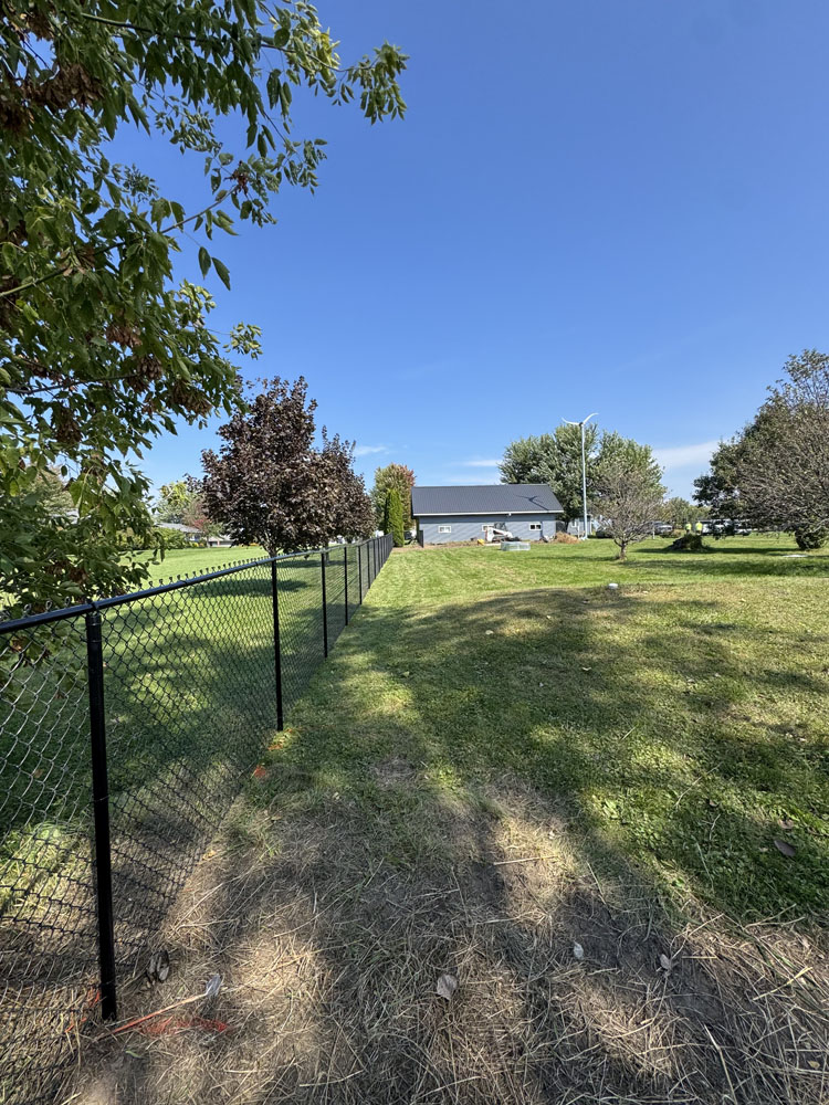 A black chain-link fence divides a grassy yard under a clear blue sky. Trees line both sides of the fence, and a house with a dark roof sits in the distance. Shadows from trees fall across the grass.