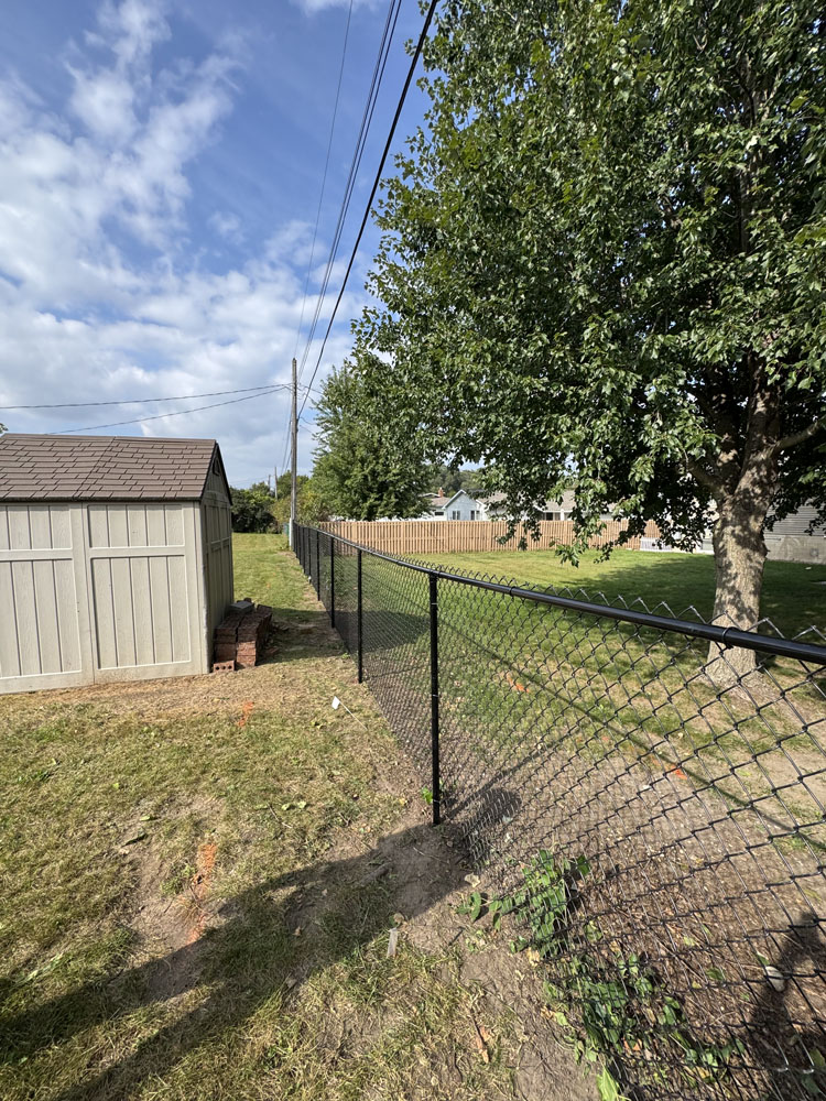 A black chain-link fence runs alongside a grassy yard with a large tree, utility lines above, and a gray shed on the left under a partly cloudy sky.