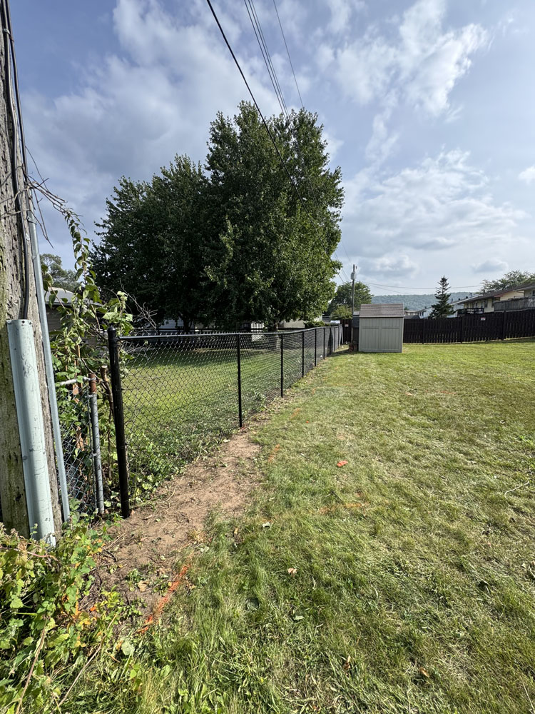 A backyard with green grass, a chain-link fence running along the left side, a utility pole, tall trees in the background, and a small white shed near the back right corner under a partly cloudy sky.