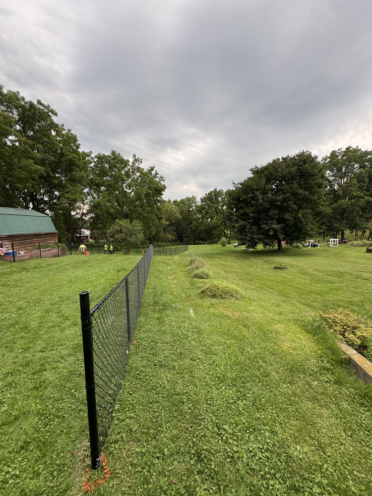 A black chain-link fence divides a large, grassy yard with scattered bushes and trees under a cloudy sky. A barn-like structure is visible on the left, and more greenery fills the background.
