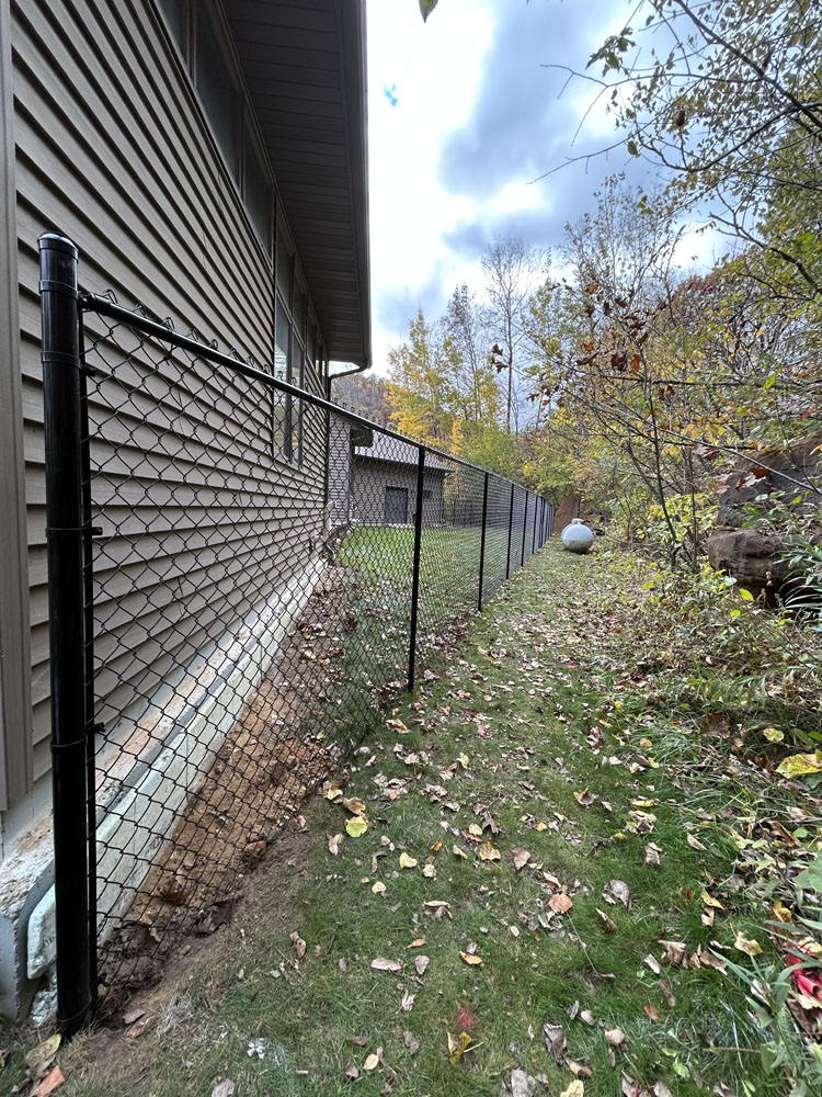 A black chain-link fence runs alongside a house with brown siding, separating a grassy yard with scattered autumn leaves from a wooded area with trees and shrubs.