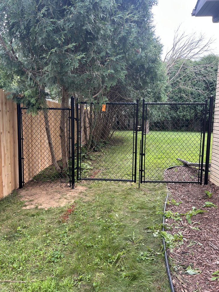 A black chain link fence with two gates stands between a wooden fence on the left and a brick building on the right, separating a grassy yard with trees and a garden.