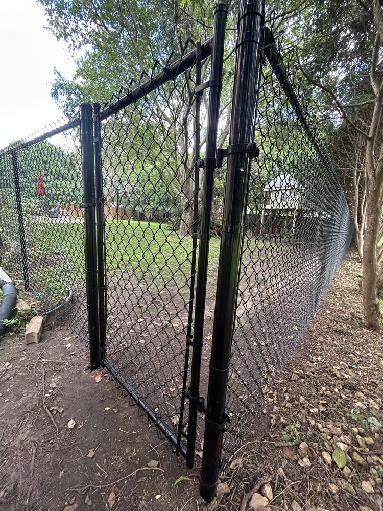 A black chain-link fence with a gate stands open in a backyard, surrounded by grass, trees, and dirt ground with some rocks and leaves scattered nearby.